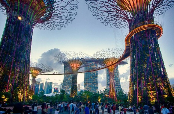 supertree supertrees singapore 15