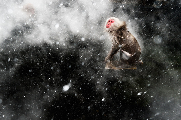 83_Jasper-Doest-The-Netherlands-Snow-moment