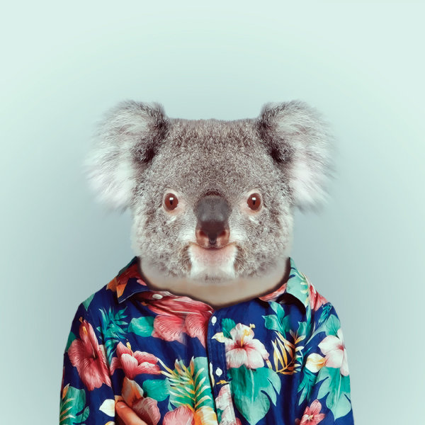 26-animal-portrait-photography