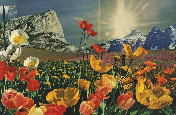 milesdonovan_field