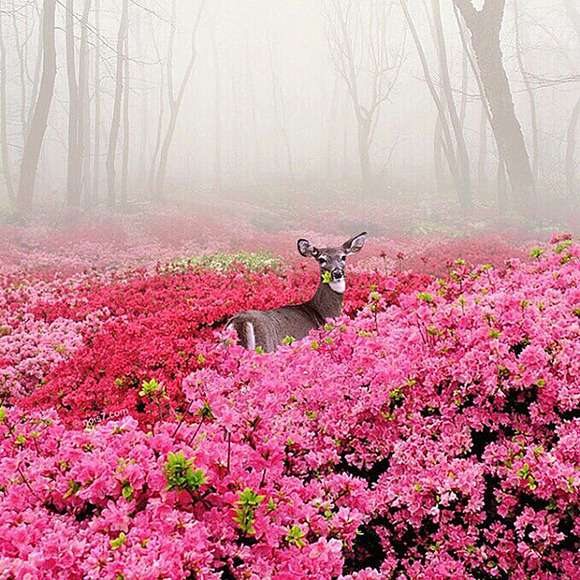 colourful-surreal-photography-robert-jahns-19