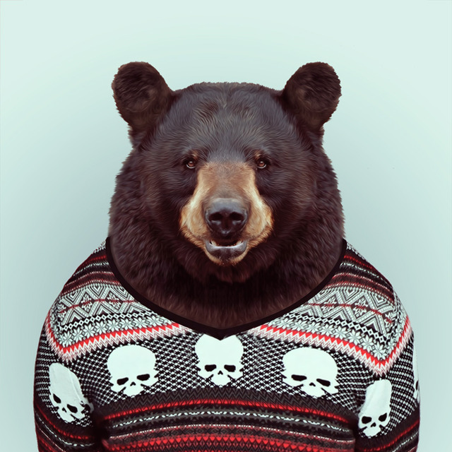 11-animal-portrait-photography