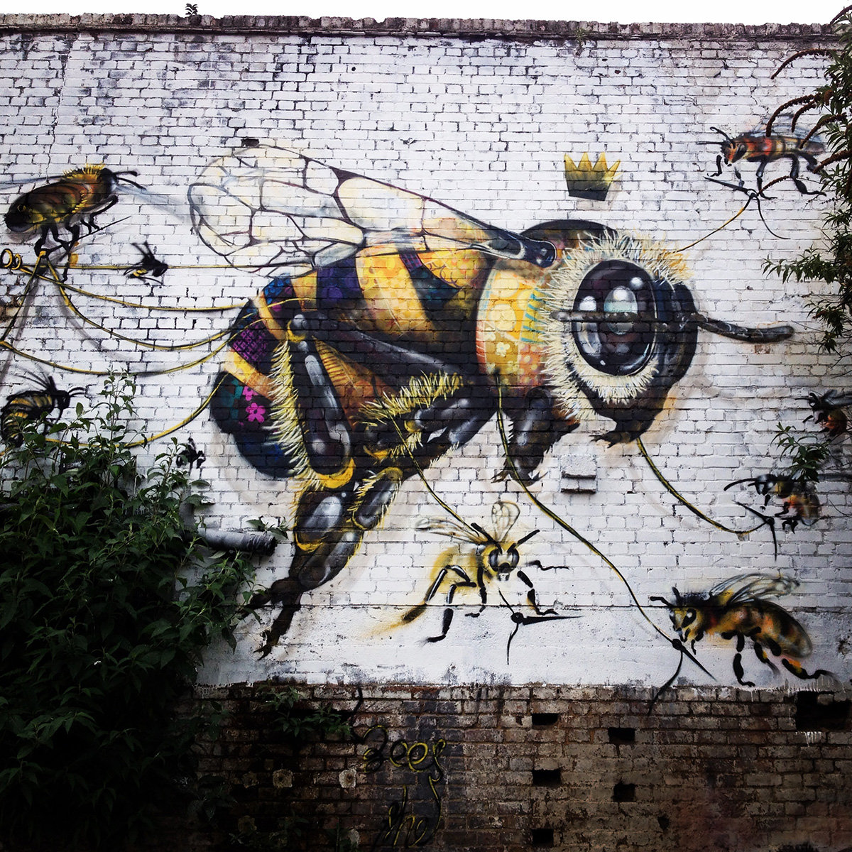 セイブ ザ ミツバチ 蜂群崩壊症候群 いないいない病 を啓発するストリートアート ジャポンタ