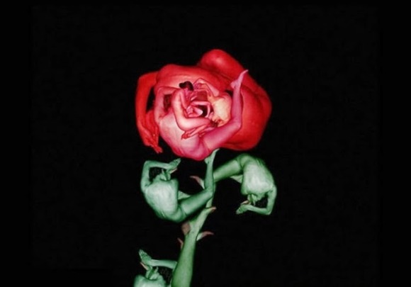 webbercollage12