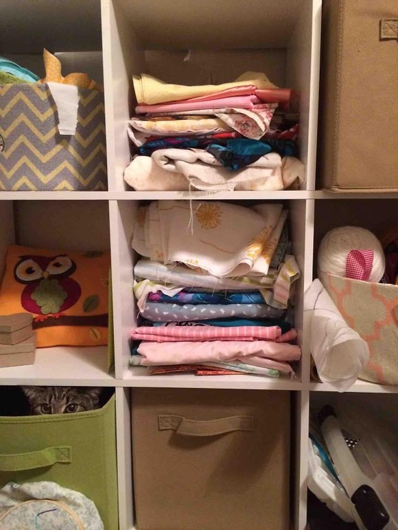 ninja-cat-hiding-funny-29__605
