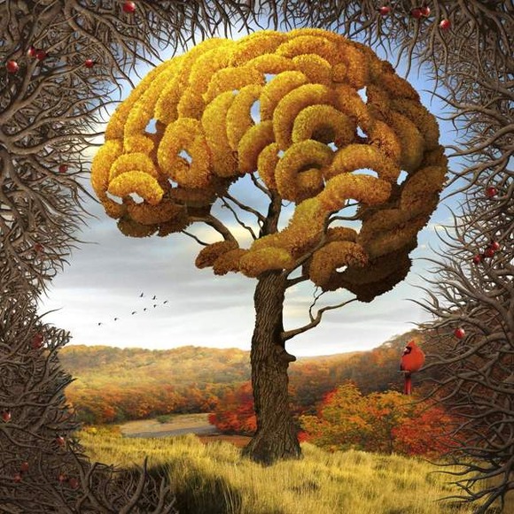 脳の春夏秋冬 四季の移り変わりをユニークな脳のような木で表現 ジャポンタ