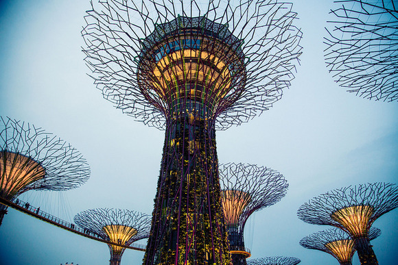 supertree supertrees singapore 1