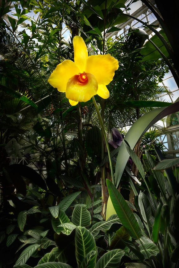 glass-flowers-jason-gamrath-16__880