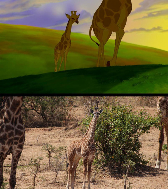 real-life-lion-king-brandon-heuser-11