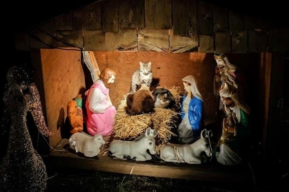 イエス キリストはニャンコだった キリストが降誕する場面を陣取る可愛いニャンコたち ジャポンタ