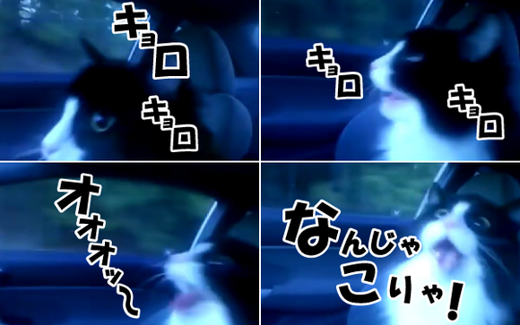 キャプチャリング600
