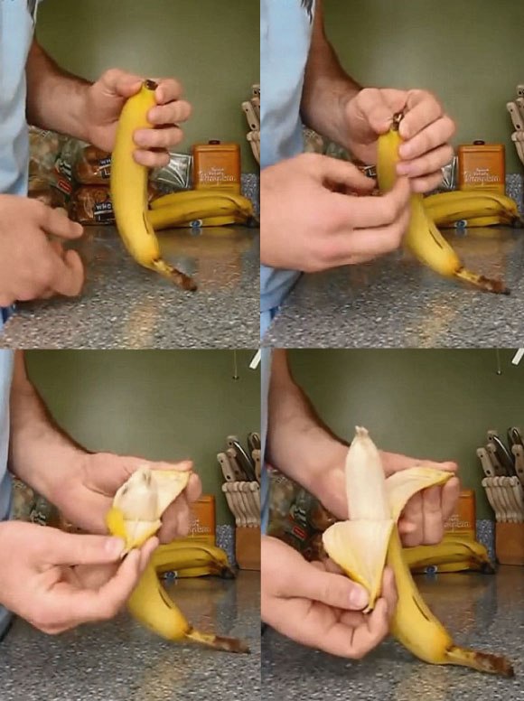もう皮ブラブラしな い サルから学ぶバナナの剥き方 ジャポンタ