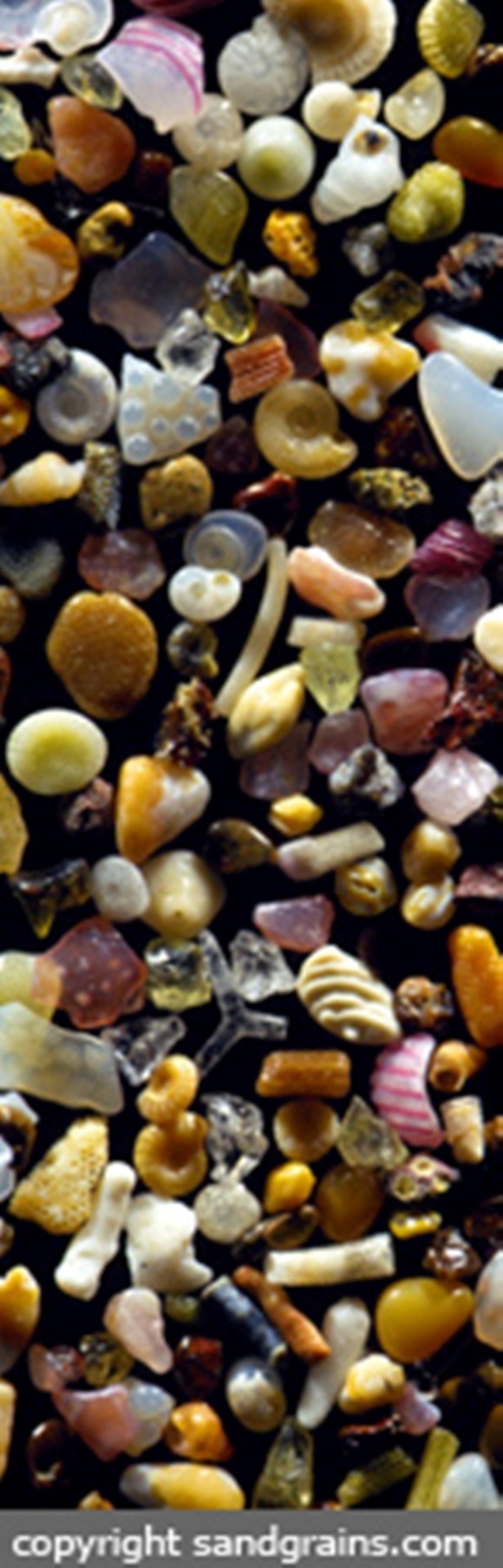 P_Maui-20A-web-copy