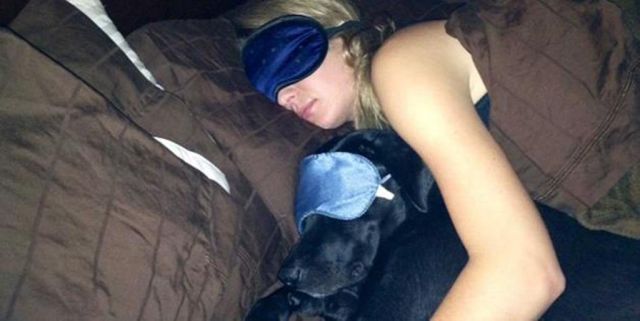 a_comparison_between_dogs_and_cats_640_26