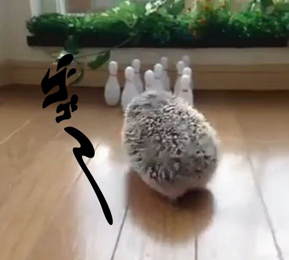 キャプチャリングロングロング