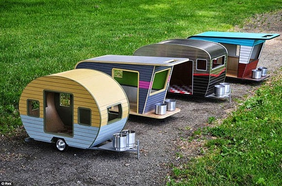 pet-camper03