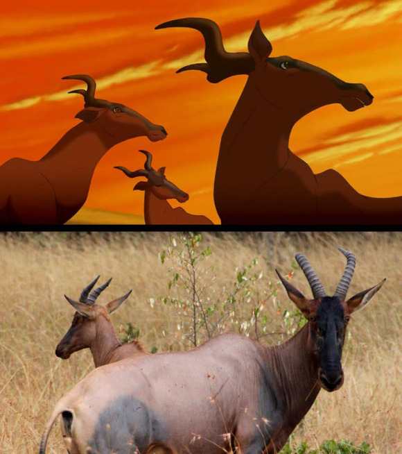 real-life-lion-king-brandon-heuser-2