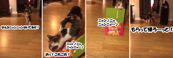 キャプチャリング600
