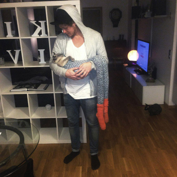 Cats-wearing-tights-9