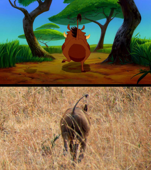 real-life-lion-king-brandon-heuser-14