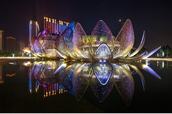 Lotus_feeldesain_13