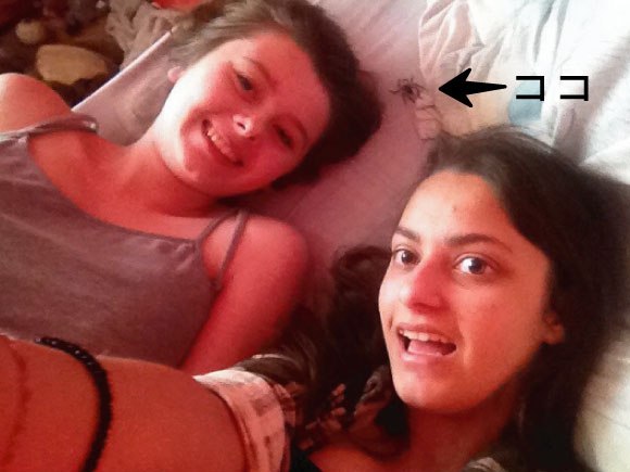 二人仲良く動画撮影 が しかし クモ の存在を気付き驚き白目をむくガールズのぎょえーーっっ な光景 ジャポンタ