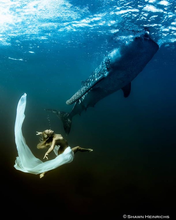 Shawn-Heinrichs-photography-underwater-9