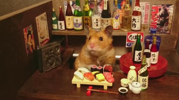 Hamster-Sushi-and-Saki-Bar-750x421
