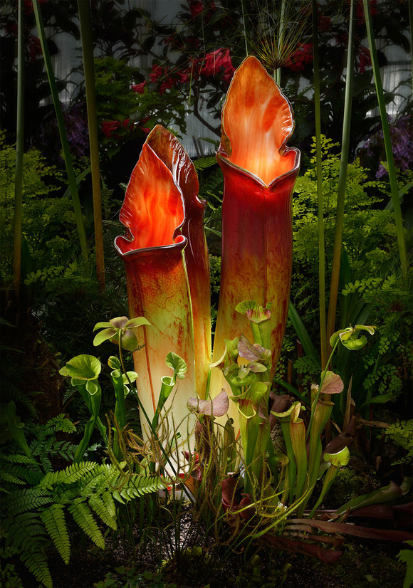 glass-flowers-jason-gamrath-18__880