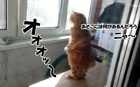 キャプチャリング600