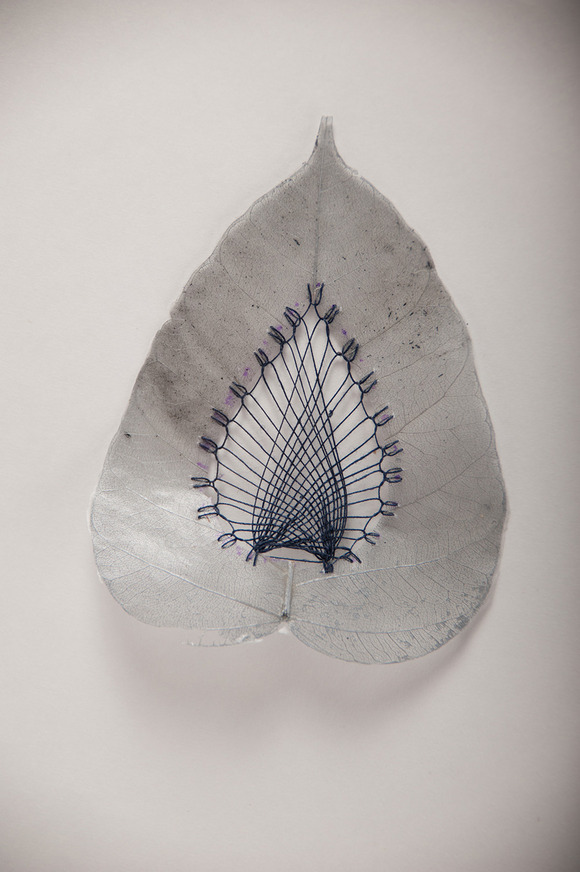 leaf-3