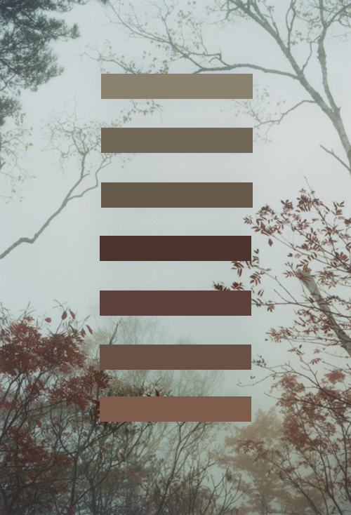 11-natural-palettes