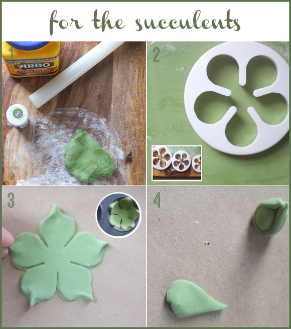 houseplantcupcakediy_succulents
