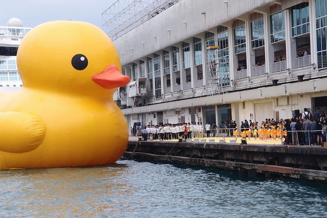 hongkongduck02