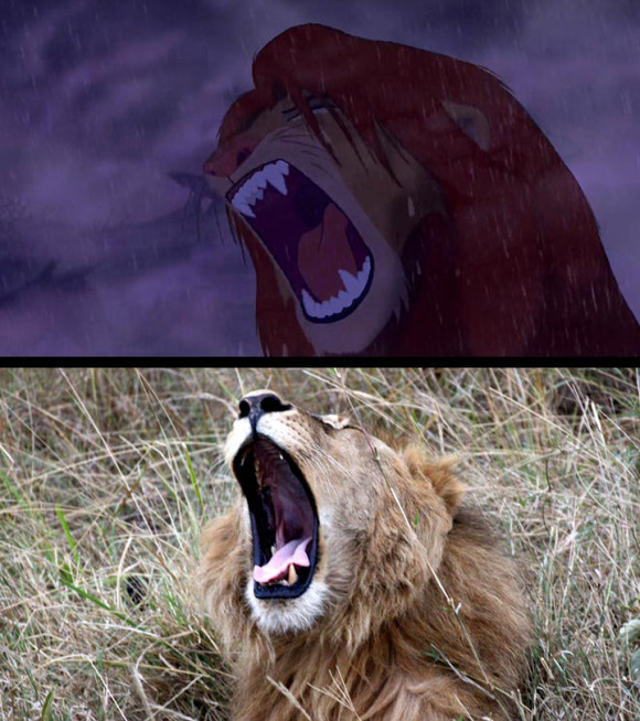 real-life-lion-king-brandon-heuser-4