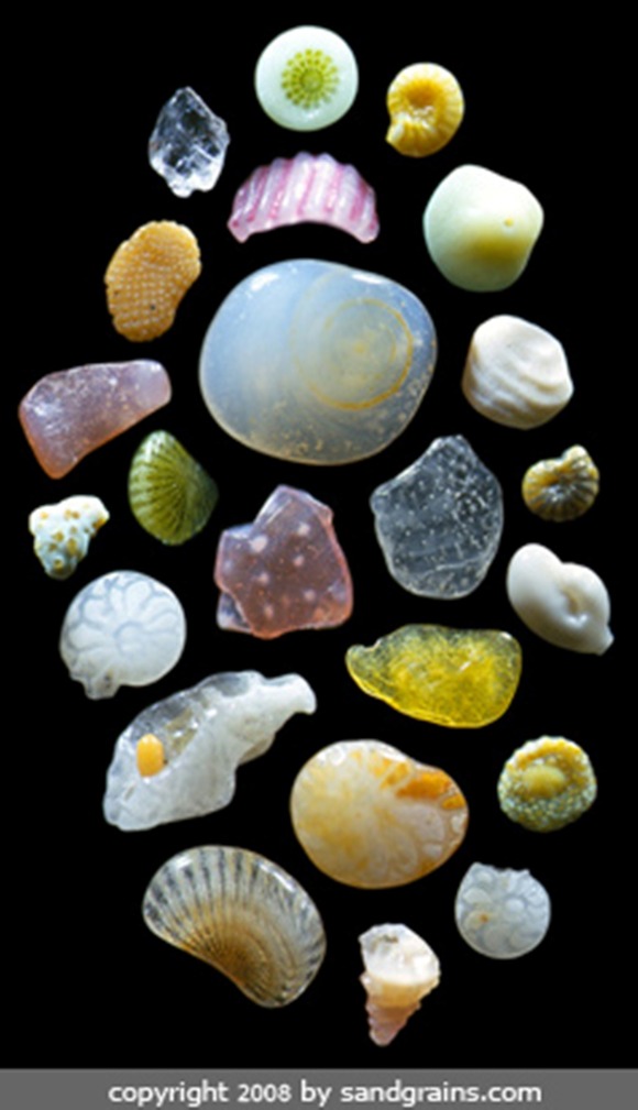 P_Maui-15B-web-copy