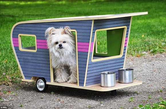 pet-camper06