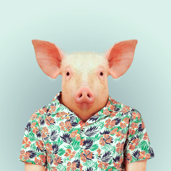 14-animal-portrait-photography