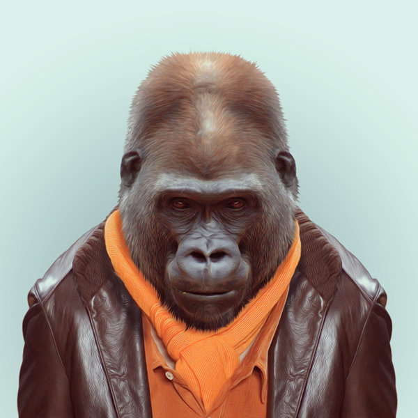 3-animal-portrait-photography