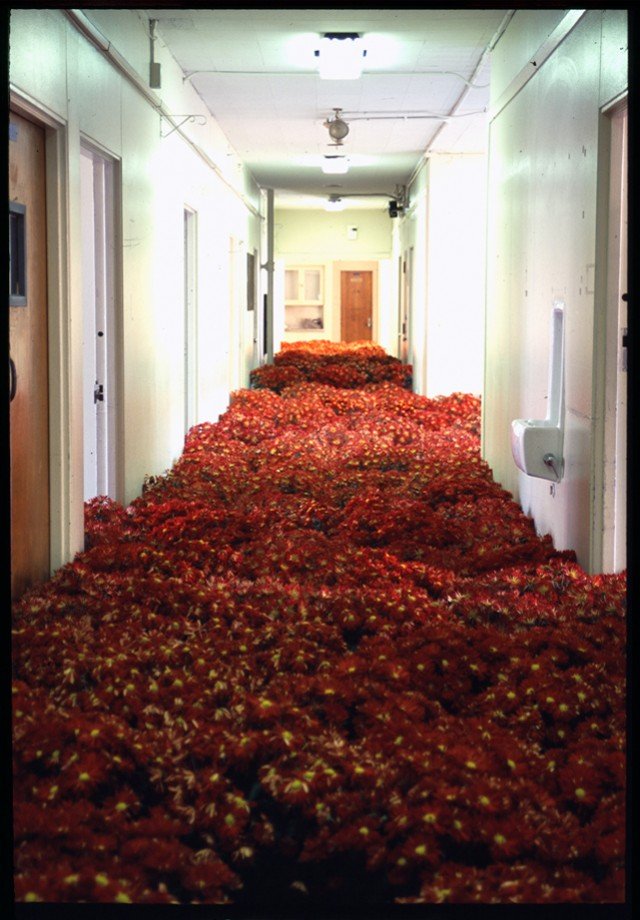 BLOOM-by-Anna-Schuleit-Red-Mums-640x920