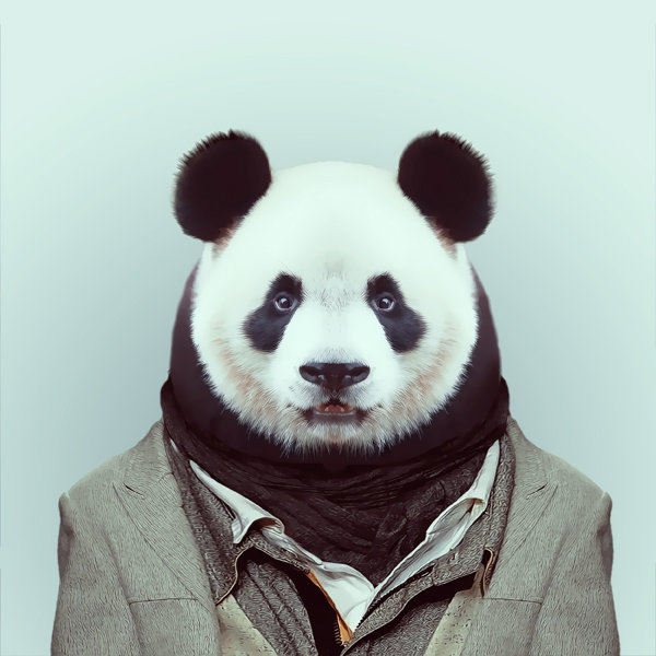 18-animal-portrait-photography