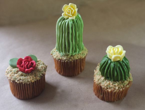 ribbed-cacti
