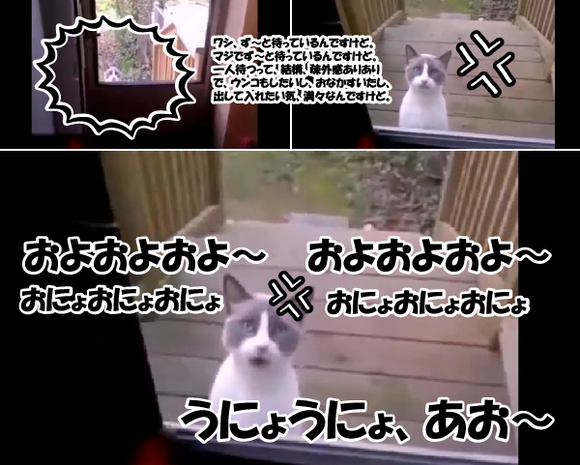 キャプチャリング600