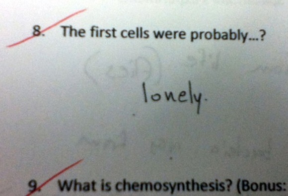 test-answers-that-are-totally-wrong-but-still-genius-5