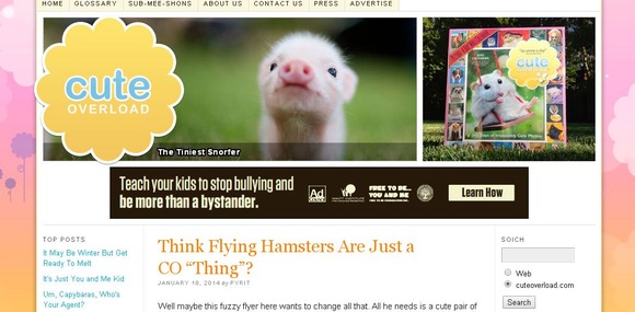 ピカチュウのようなモフモフ可愛いカイコガ カイコの繭は知ってたが成虫のカイコガの存在はしらなんだ ジャポンタ ピカチュウのようなモフモフ可愛いカイコガ カイコの繭は知ってたが成虫のカイコガの存在はしらなんだ ジャポンタ