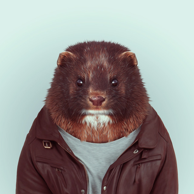 35-animal-portrait-photography