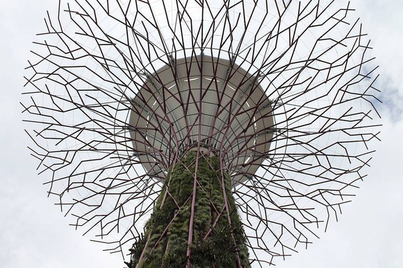 supertree supertrees singapore 5