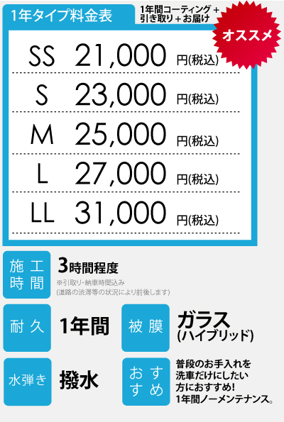 1年タイプ料金表