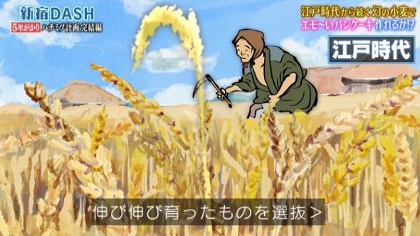 鉄腕DASH 23