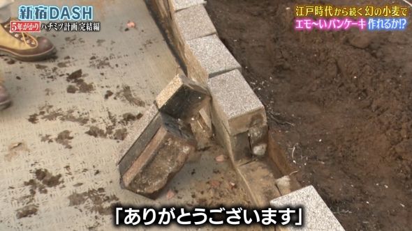 鉄腕DASH 40